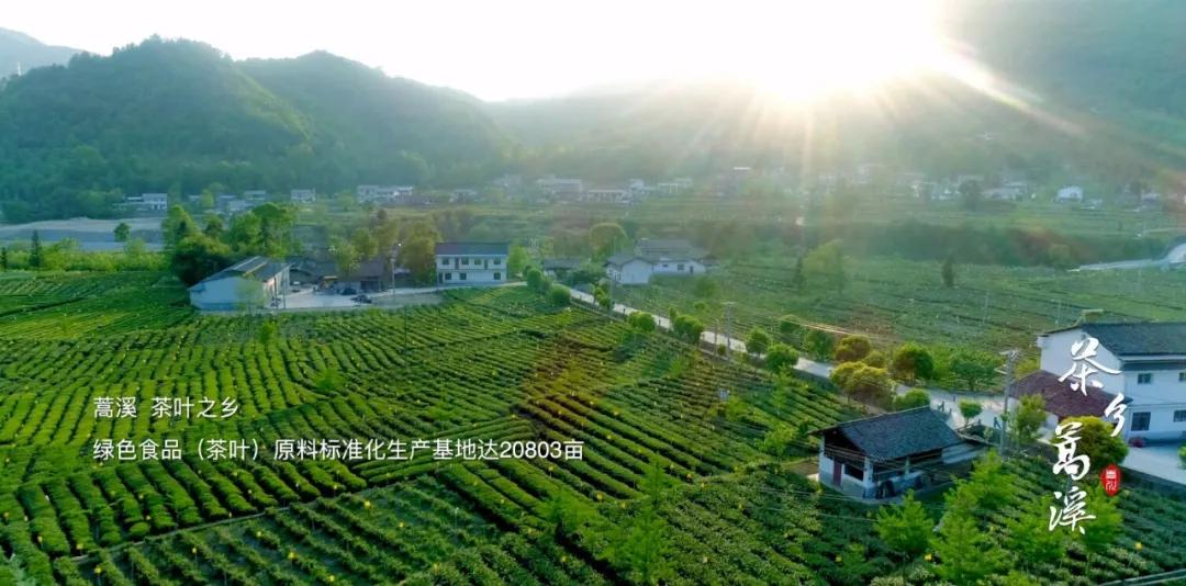 蒿溪回族乡最新交通新闻，交通发展助力乡村振兴