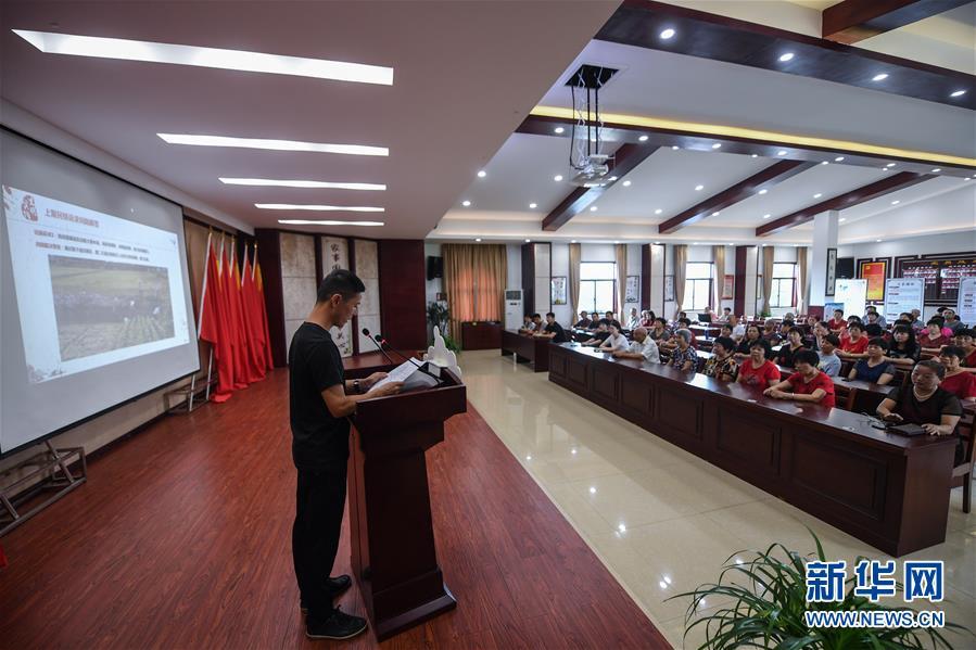 董家湾村民委员会最新交通新闻，迈向现代化交通的新篇章