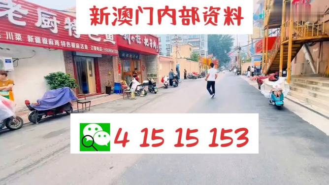 2024-2025年澳门天天开好彩资料大全最新版本下载,警惕虚假
