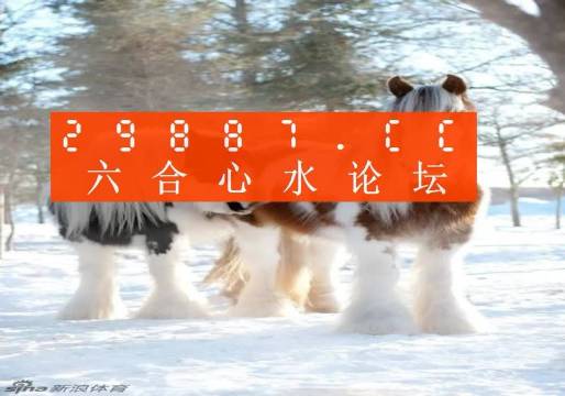 咨询 第35页