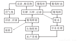 咨询 第31页