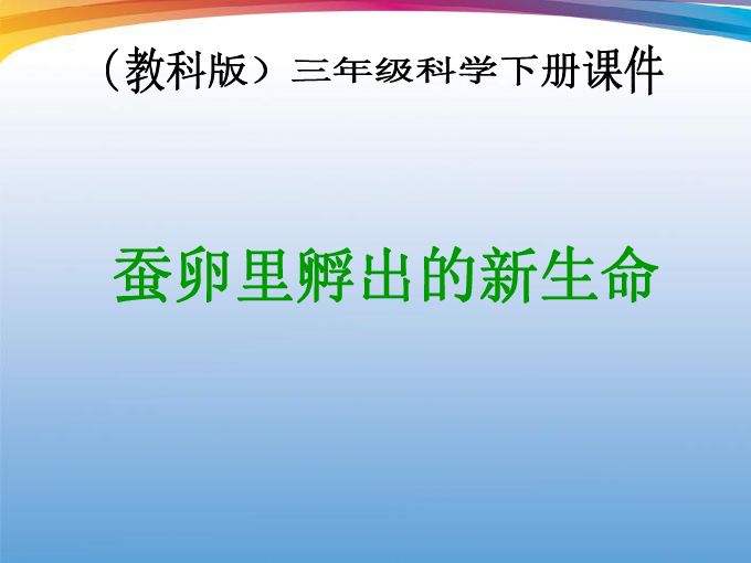 三中三必中一组澳门——聆听大自然的声音,感受生命的律动