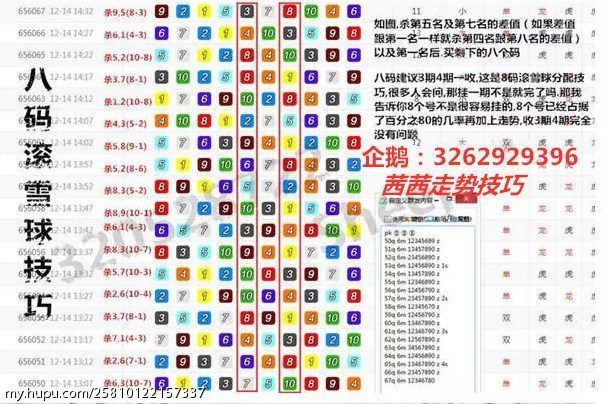 一码一肖100%精准——揭秘精准预测的秘密